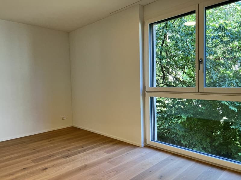 Appartamento 4½ locali 1° piano Sud-Ovest (12)