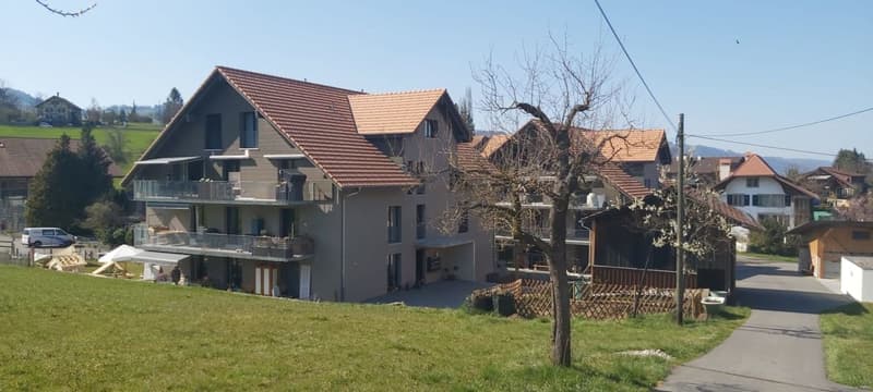 Appartement 2.5 pièces magnifique dans le verdure (1)