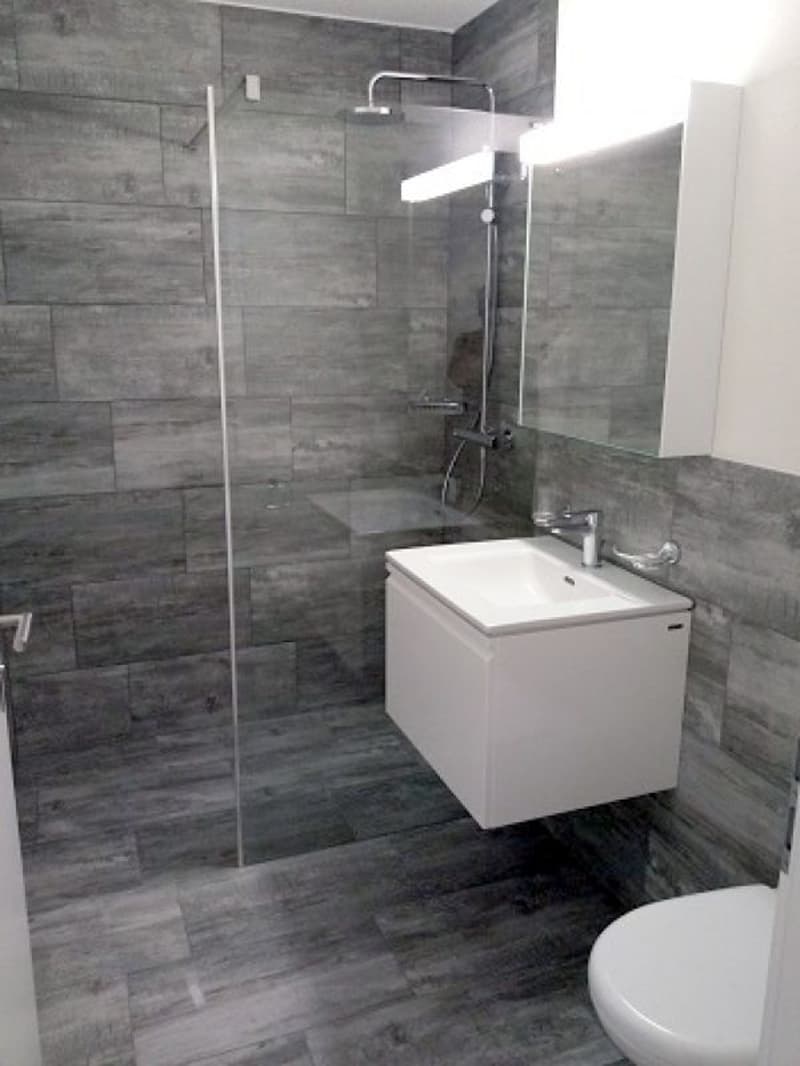 Appartement 2.5 pièces magnifique dans le verdure (6)