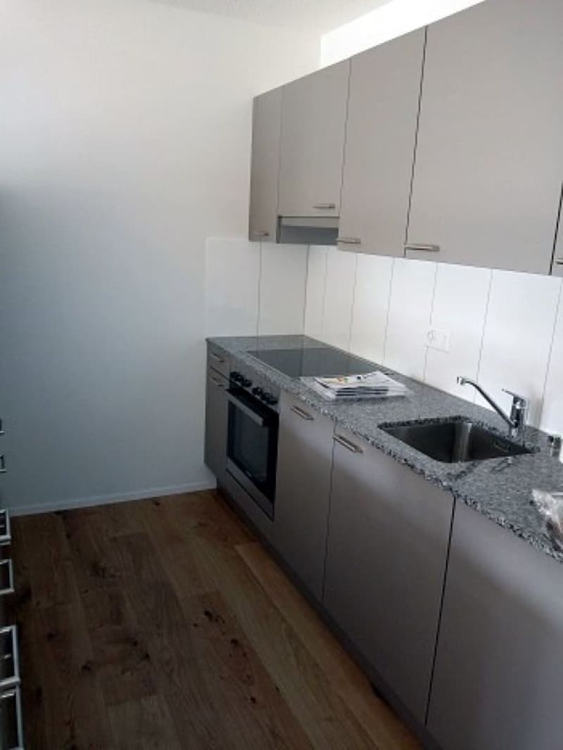 Appartement 2.5 pièces magnifique dans le verdure (3)