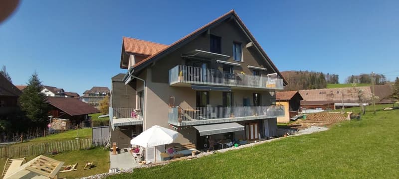 Appartement 2.5 pièces magnifique dans le verdure (10)