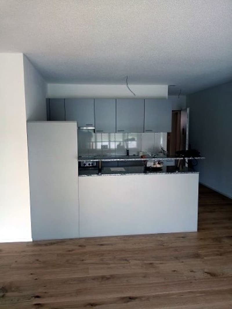 Appartement 2.5 pièces magnifique dans le verdure (4)