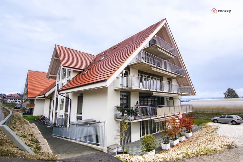 Bello appartamento di 4,5 locali con grande terrazza (2)