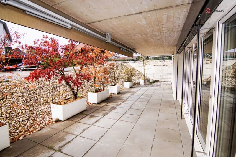 Bello appartamento di 4,5 locali con grande terrazza (4)