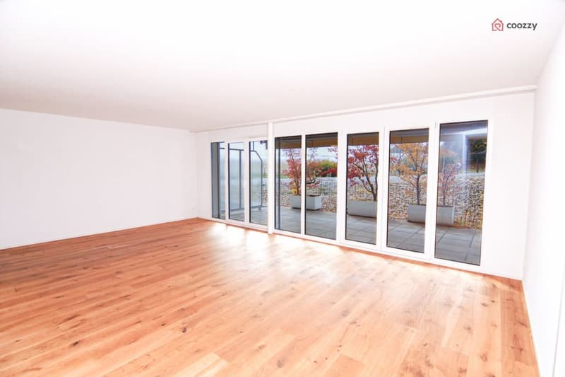 Bello appartamento di 4,5 locali con grande terrazza (1)