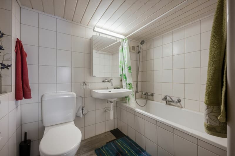 Charmante 4-Zimmer Maisonette Wohnung (6)