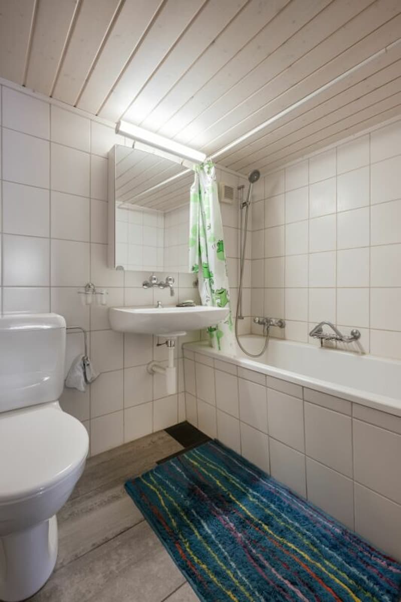 Charmante 4-Zimmer Maisonette Wohnung (7)