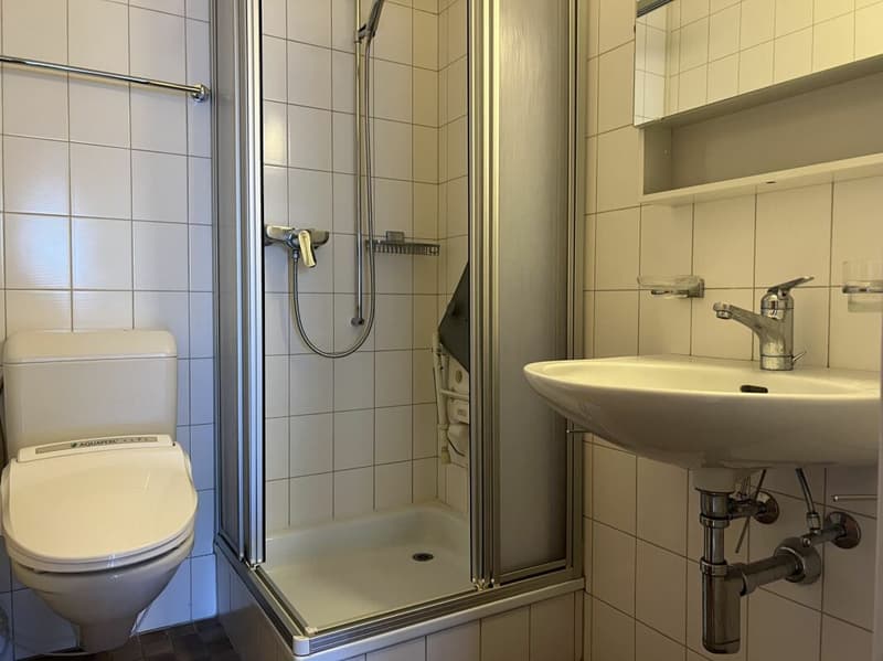 4.5-Zimmerwohnung 1. OG mit Seesicht im Zentrum von Beatenberg (11)