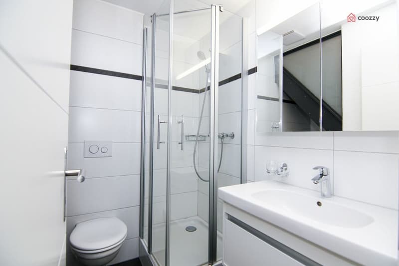 Geräumige 4½-Zimmerwohnung inkl. zusätzliche Nebenräume (8)