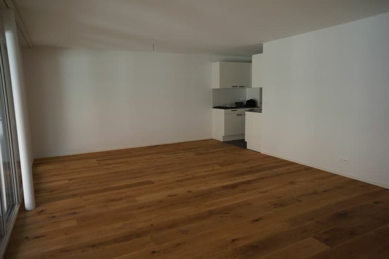 Schöne 4½-Zimmerwohnung (6)