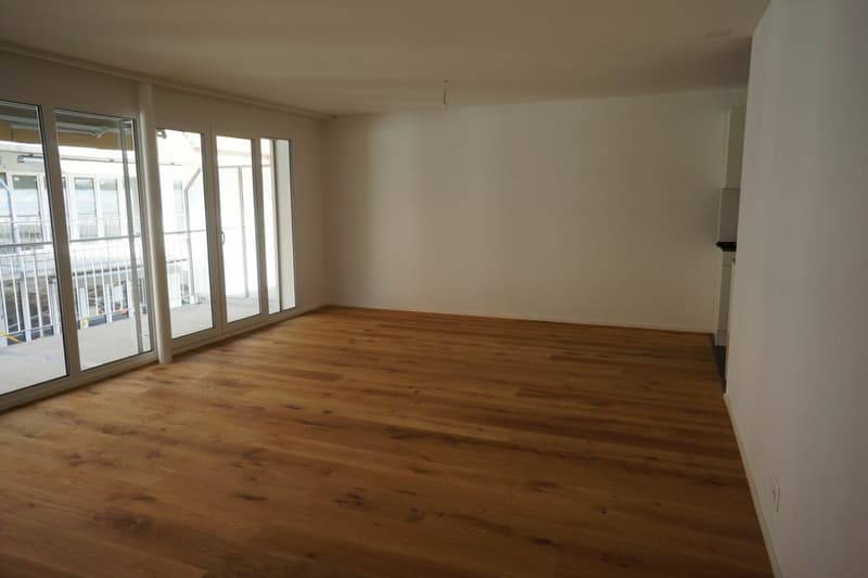 Schöne 4½-Zimmerwohnung (9)