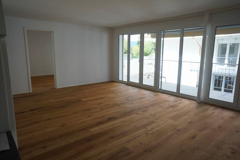 Schöne 4½-Zimmerwohnung (8)