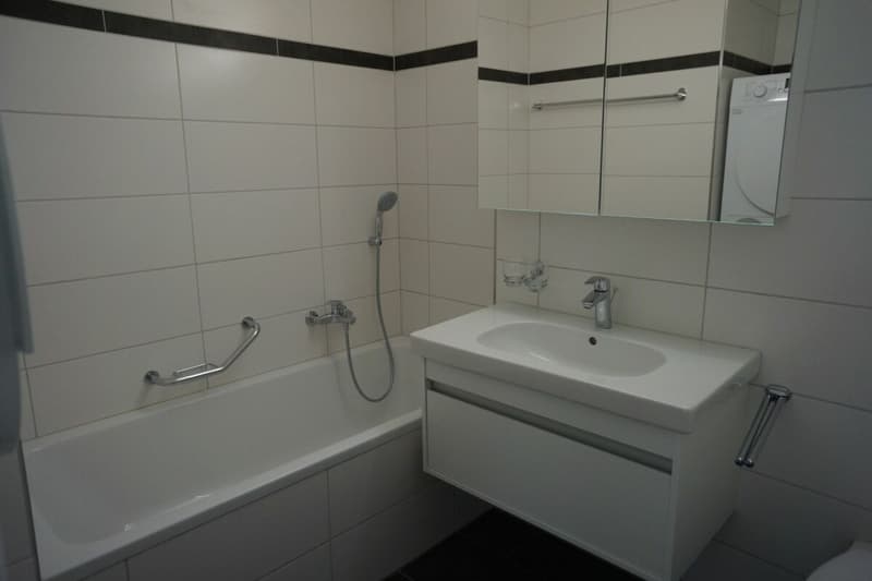 Schöne 4½-Zimmerwohnung (7)