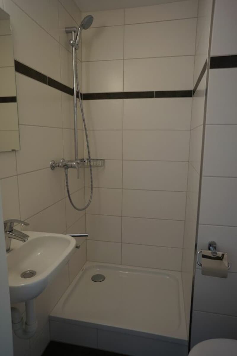 Schöne 4½-Zimmerwohnung (4)