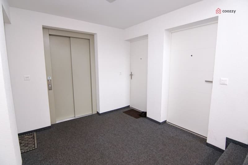 Schöne 4½-Zimmerwohnung (13)
