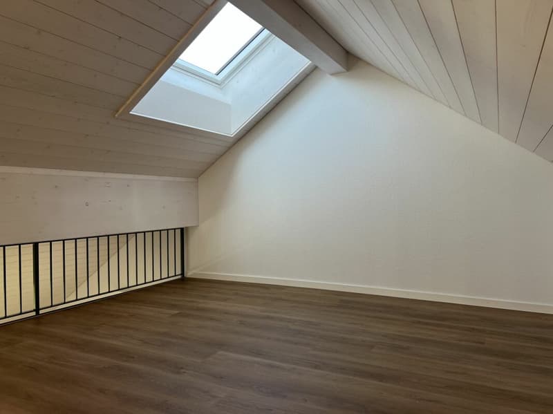 4.5-Zimmerwohnungen im Dachgeschoss mit zusätzlicher Galerie (11)
