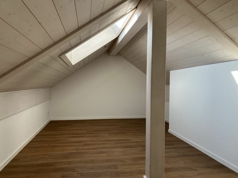 4.5-Zimmerwohnungen im Dachgeschoss mit zusätzlicher Galerie (10)
