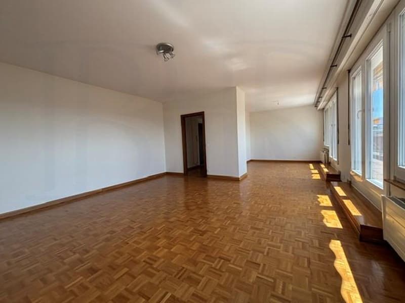 LE GRAND-SACONNEX - Appartement de 6 pièces en attique (4)
