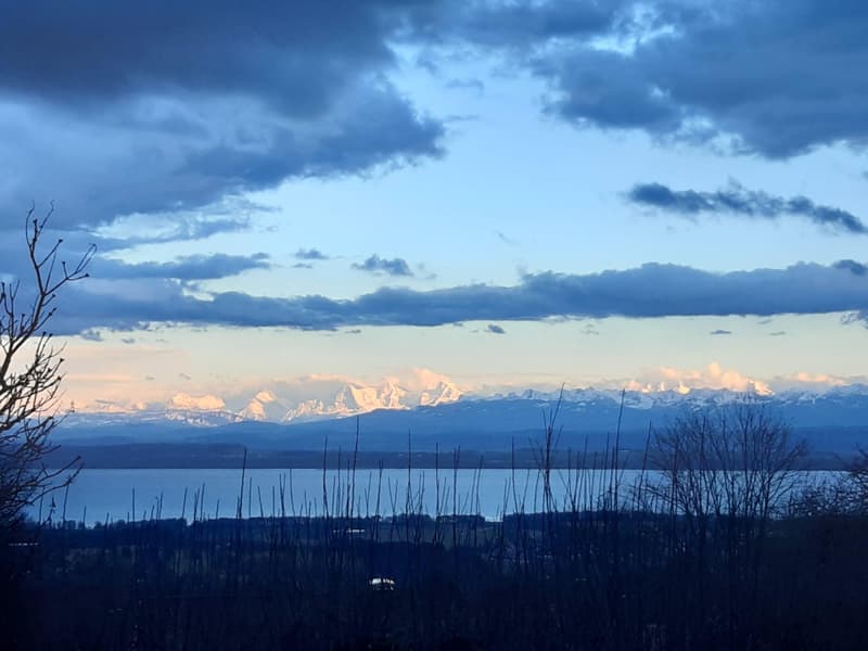 Are you looking for peace, greenery, and a magnificent view? (8)