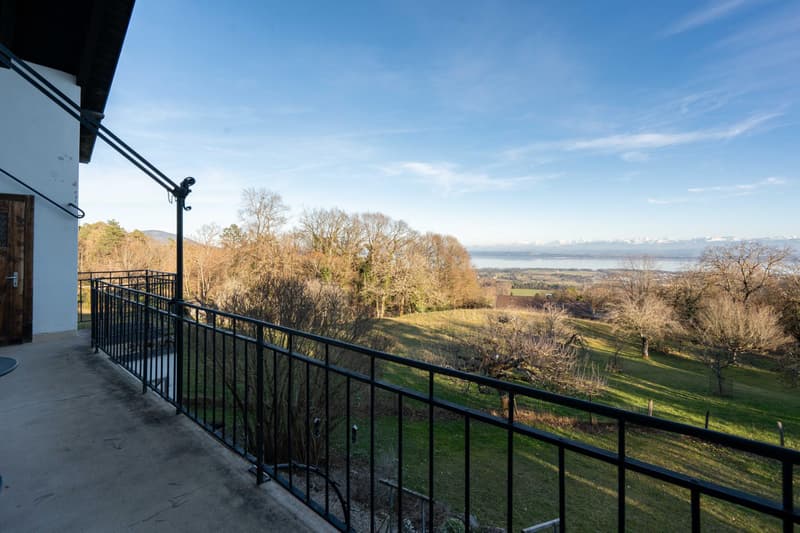 Are you looking for peace, greenery, and a magnificent view? (6)