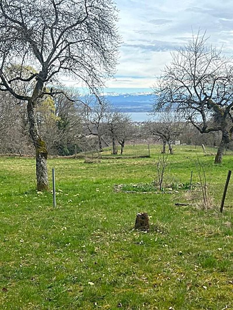 Magnificent building plot of 3'383 m² with a view (4)
