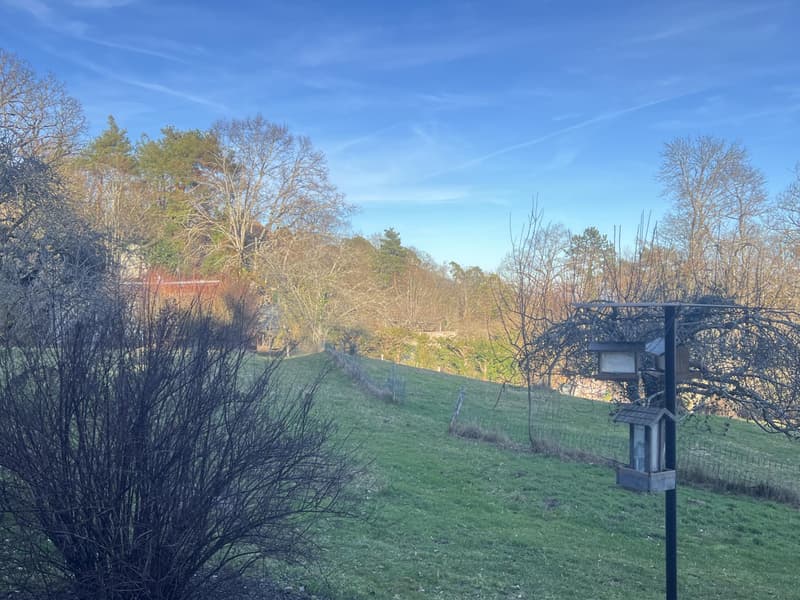 Magnificent building plot of 3'383 m² with a view (5)