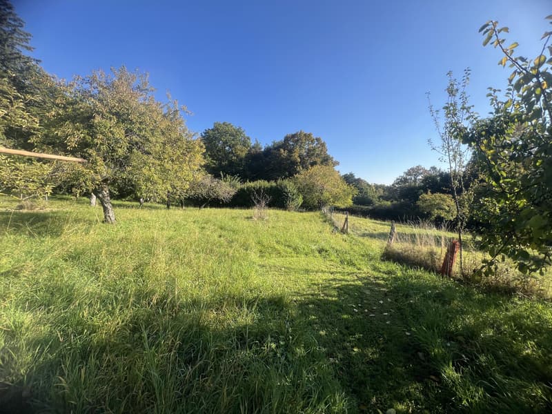 Magnificent building plot of 3'383 m² with a view (3)