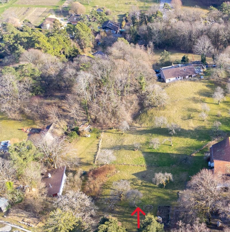 Magnificent building plot of 3'383 m² with a view (6)