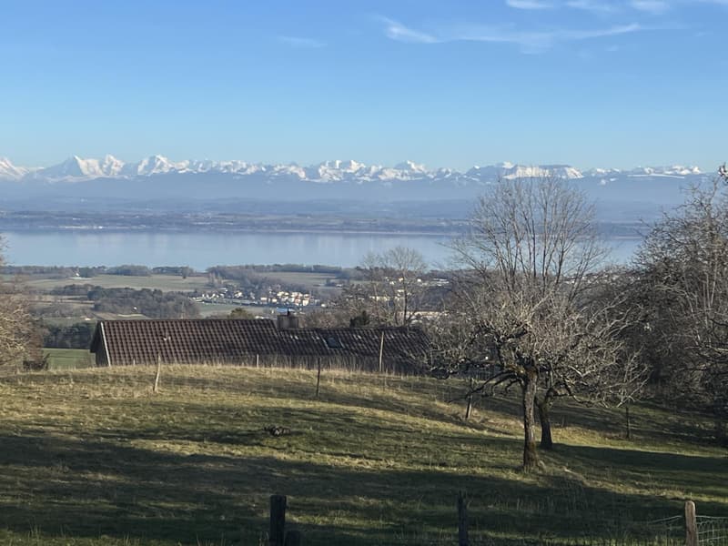 Magnificent building plot of 3'383 m² with a view (2)
