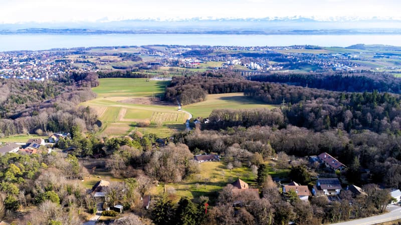 Magnificent building plot of 3'383 m² with a view (8)