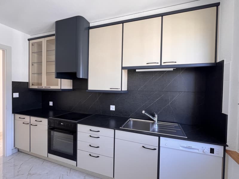 Renovated apartment with magnificent view of the lake and the Alps (7)