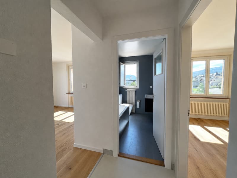 Renovated apartment with magnificent view of the lake and the Alps (5)