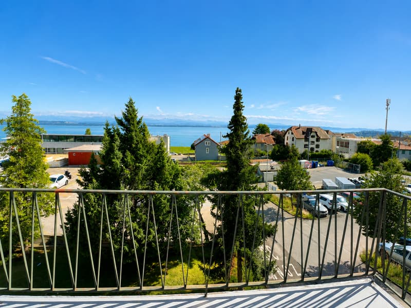 Renovated apartment with magnificent view of the lake and the Alps (2)