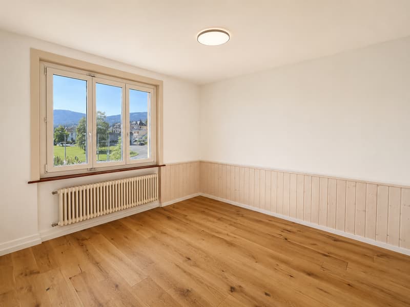 Renovated apartment with magnificent view of the lake and the Alps (4)