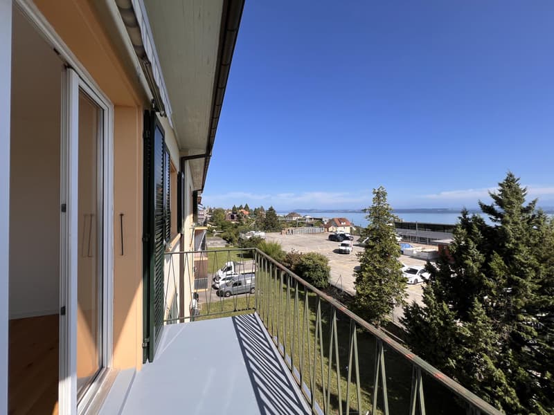 Renovated apartment with magnificent view of the lake and the Alps (3)