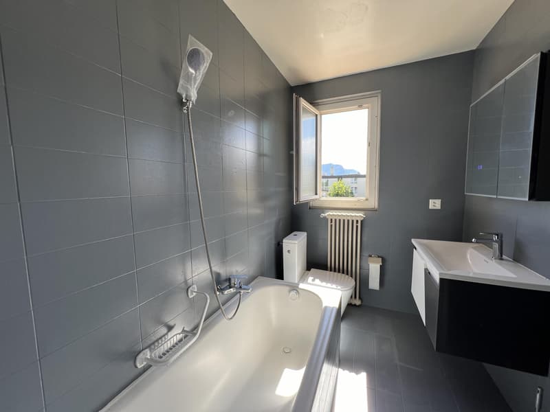 Renovated apartment with magnificent view of the lake and the Alps (6)