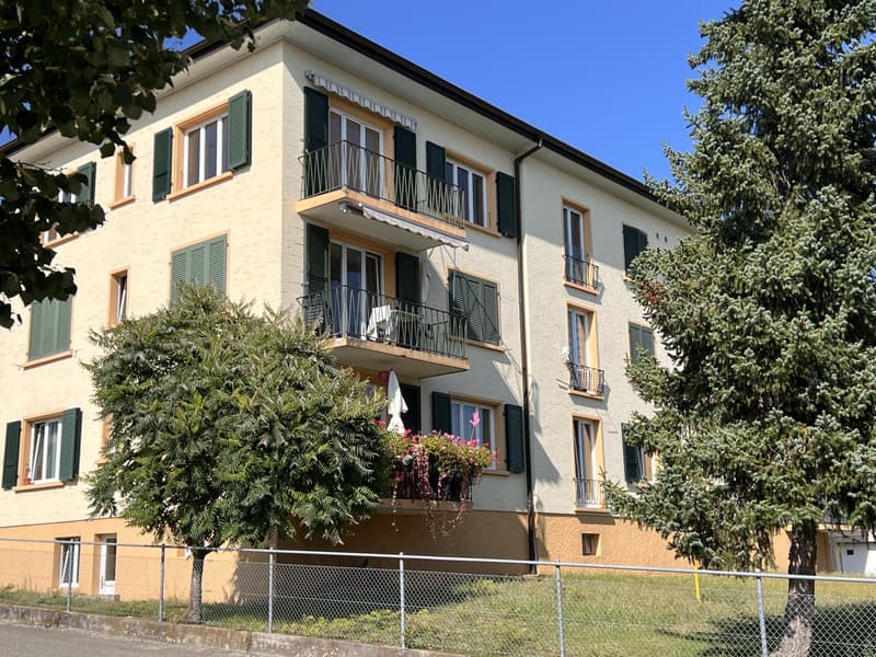 Renovated apartment with magnificent view of the lake and the Alps (9)
