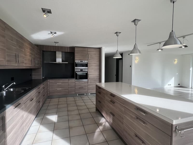 Bella villa con terrazza e giardino contemporaneo orientato a sud-ovest (5)