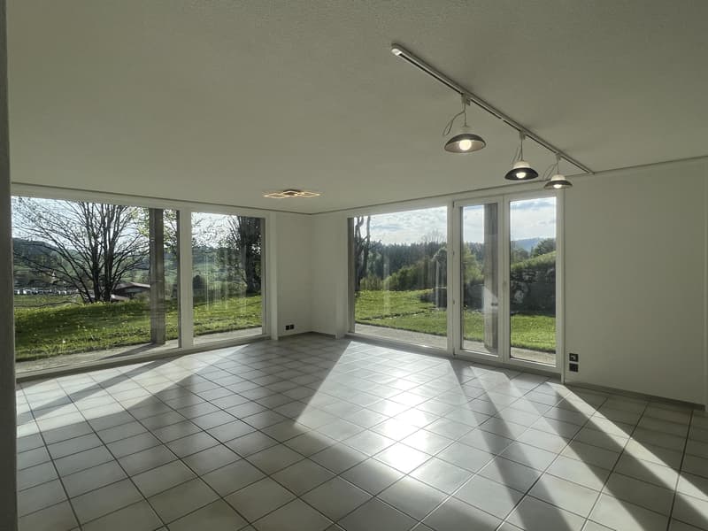 Bella villa con terrazza e giardino contemporaneo orientato a sud-ovest (2)