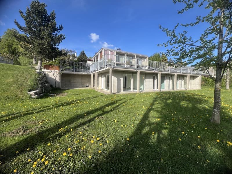 Beautiful contemporary villa with terrace and south-west facing garden (2)