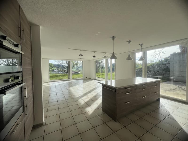Beautiful contemporary villa with terrace and south-west facing garden (3)