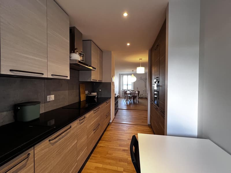 Charmant et spacieux appartement rénové avec terrasse (2)