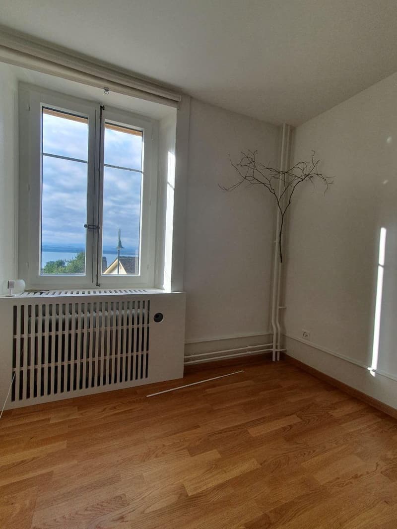 Charmant et spacieux appartement rénové avec terrasse (7)