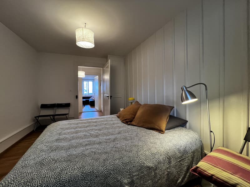 Charmant et spacieux appartement rénové avec terrasse (6)