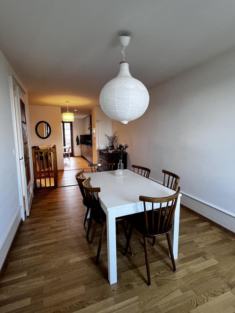 Charmant et spacieux appartement rénové avec terrasse (4)