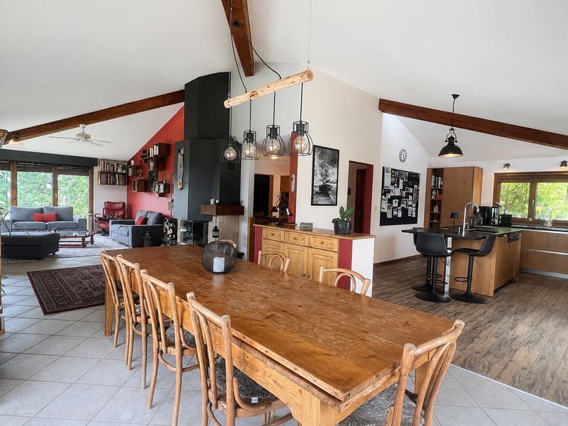 Maison individuelle aux volumes généreux, dans un écrin de verdure (4)
