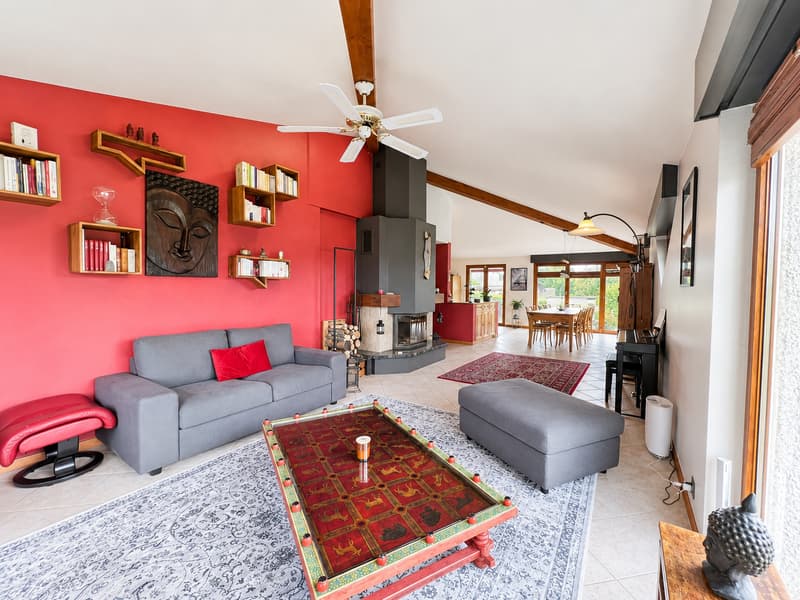 Maison individuelle aux volumes généreux, dans un écrin de verdure (3)