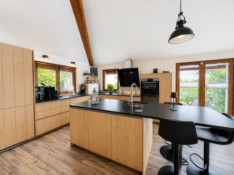 Maison individuelle aux volumes généreux, dans un écrin de verdure (5)