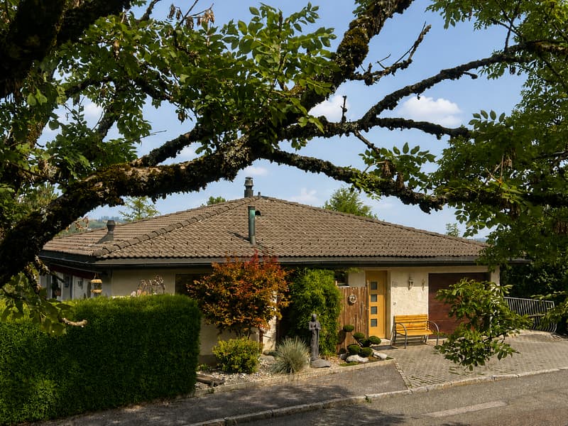 Maison individuelle aux volumes généreux, dans un écrin de verdure (2)