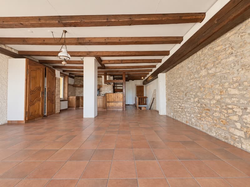 Maison villageoise avec vue: un beau potentiel à réléver (6)